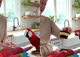 Reacția unui papagal atunci când stăpâna sa taie un tort în formă de pasăre/ Foto: Captură video