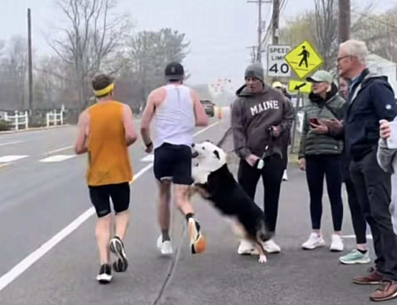 Momentul când un bărbat a fost mușcat de un câine în timpul unui maraton/ Foto: Captură video