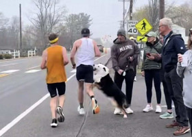 Momentul când un bărbat a fost mușcat de un câine în timpul unui maraton/ Foto: Captură video
