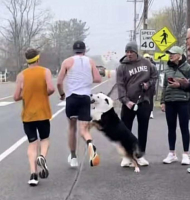 Momentul când un bărbat a fost mușcat de un câine în timpul unui maraton/ Foto: Captură video