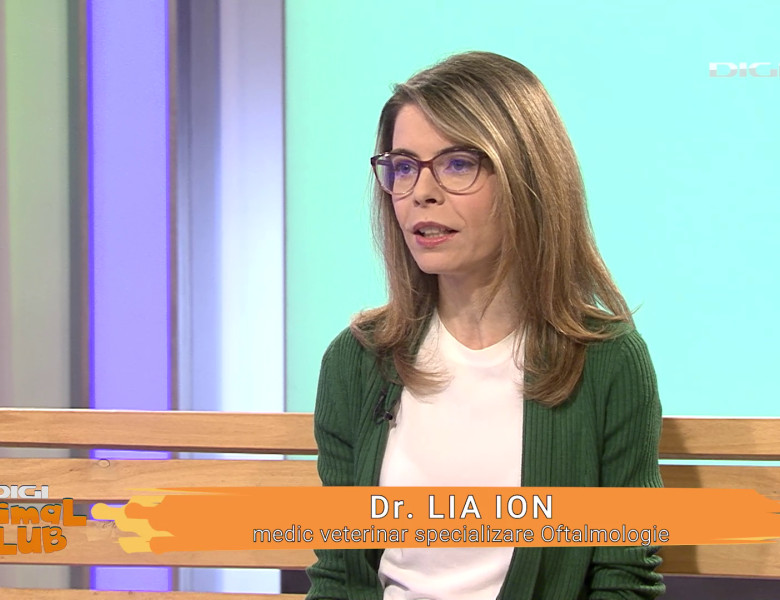 DAC Oftalmologie veterinară (4)