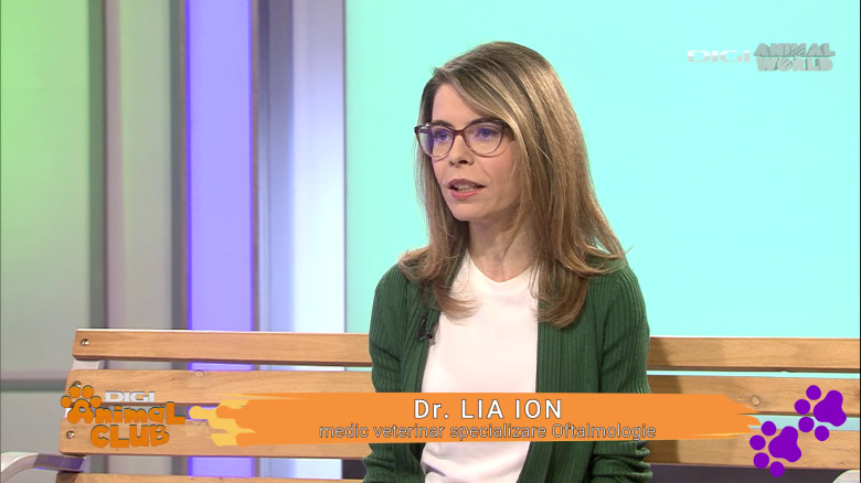 DAC Oftalmologie veterinară (4)