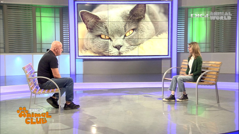 DAC Oftalmologie veterinară (3)