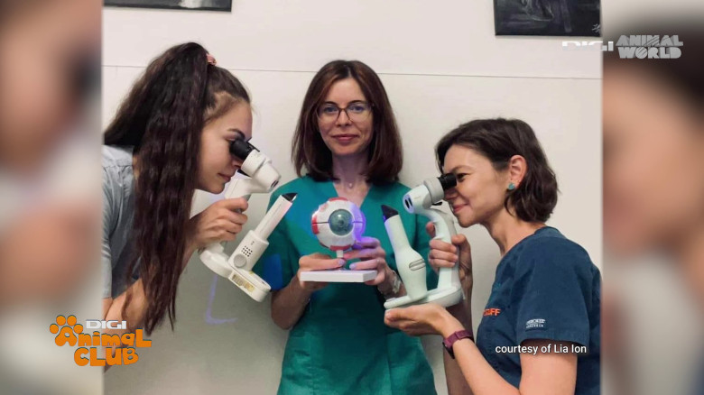 DAC Oftalmologie veterinară (5)