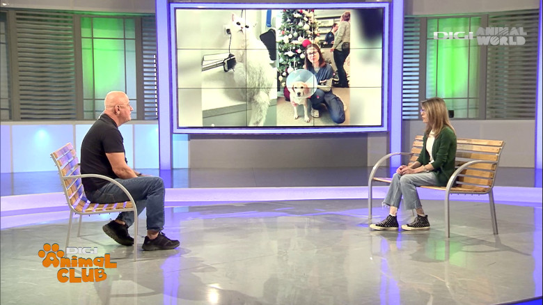 DAC Oftalmologie veterinară (7)