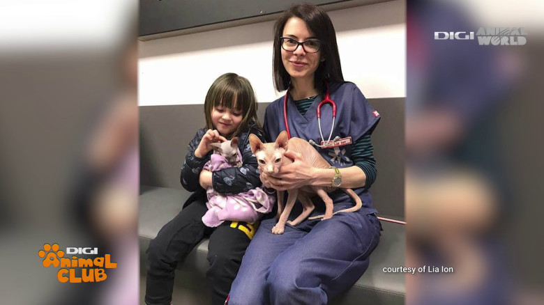 DAC Oftalmologie veterinară (11)