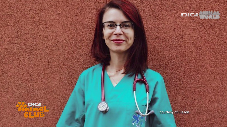 DAC Oftalmologie veterinară (12)