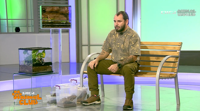 DAC Nevertebrate Alex Fota 1