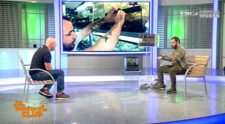 DAC Nevertebrate Alex Fota 2