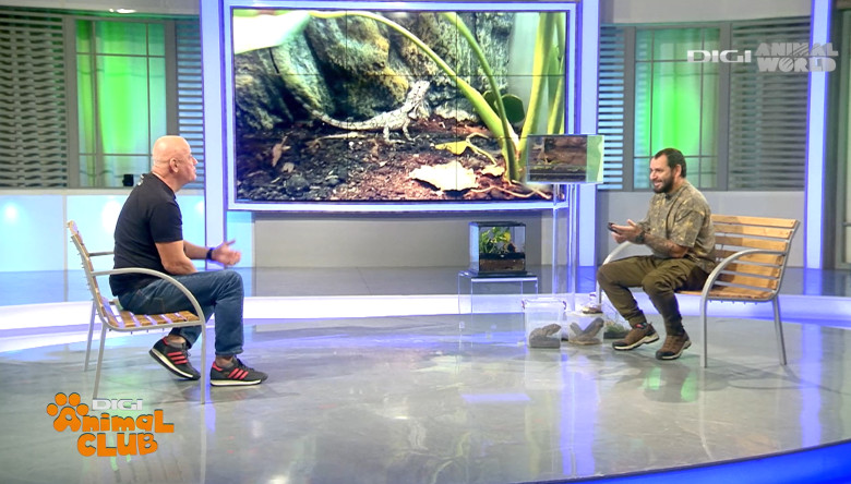 DAC Nevertebrate Alex Fota 5