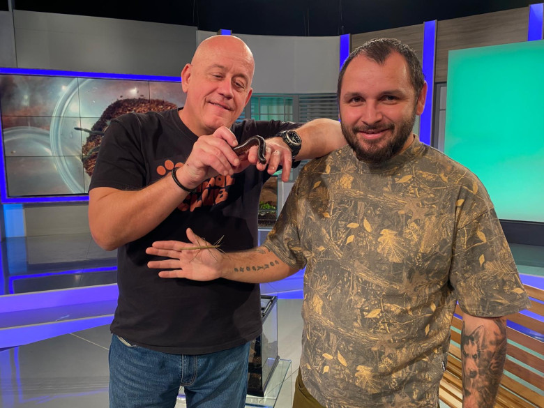 DAC Nevertebrate Alex Fota 6