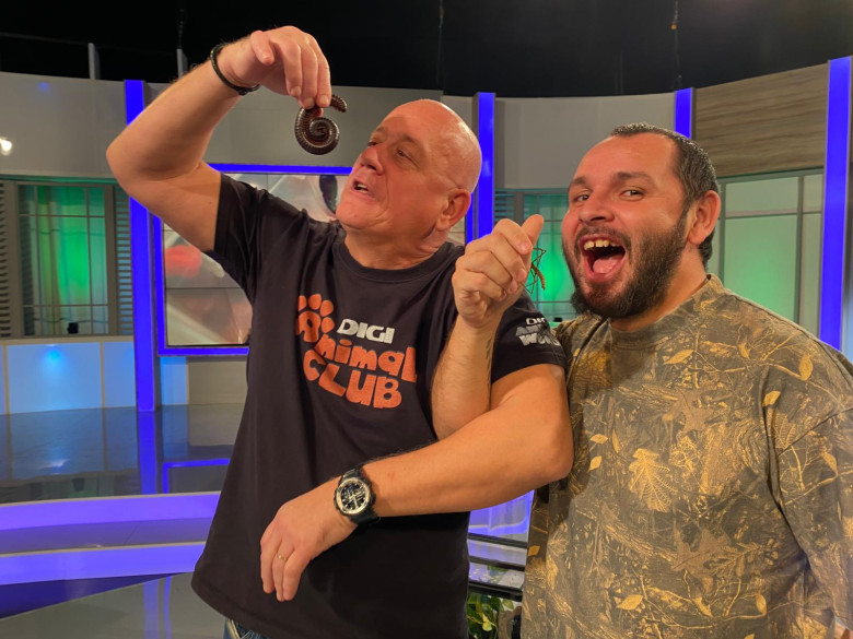 DAC Nevertebrate Alex Fota 8