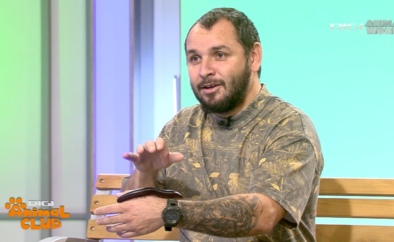 DAC Nevertebrate Alex Fota