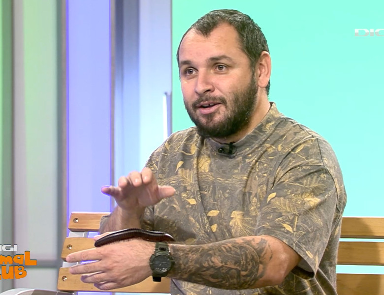 DAC Nevertebrate Alex Fota