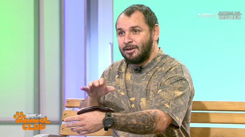 DAC Nevertebrate Alex Fota