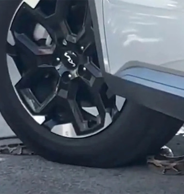 Momentul când un șarpe se strecoară în mașină unui bărbat care aștepta la un drive-thru în Florida/ Foto: Captură video