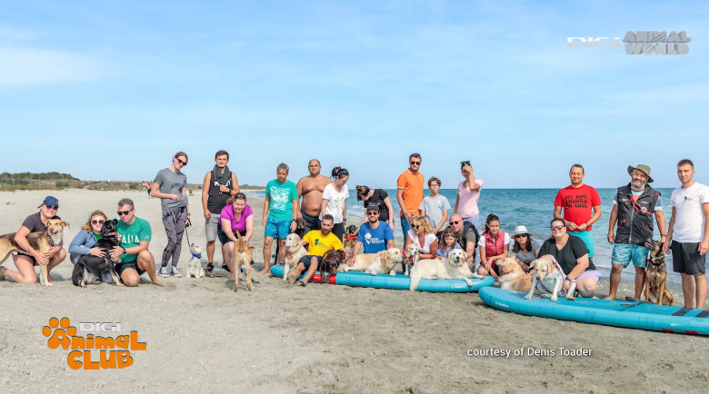 DAC EVENIMENTE CAINI 12