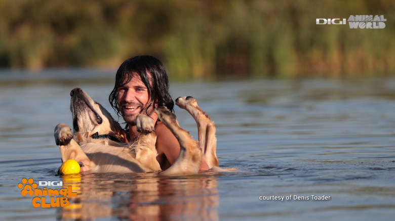 DAC EVENIMENTE CAINI 14