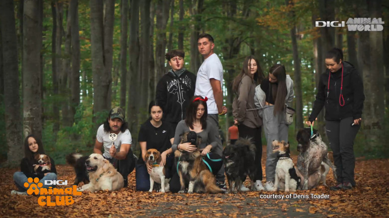 DAC EVENIMENTE CAINI 24