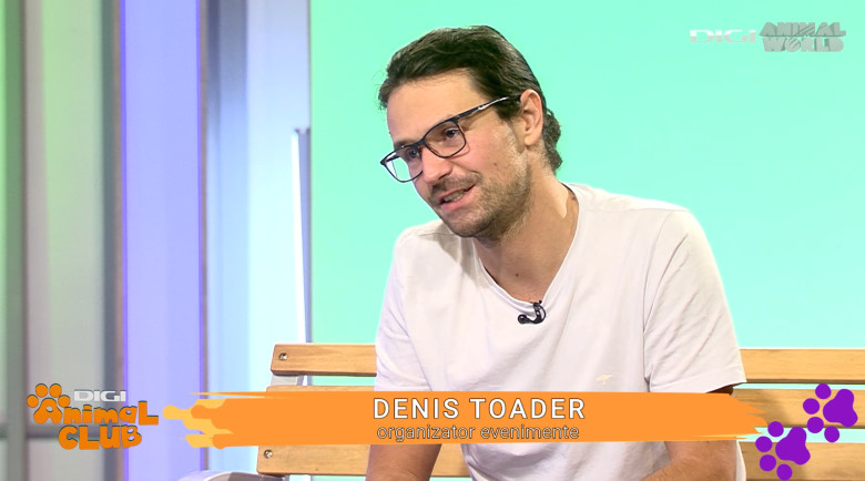 DAC EVENIMENTE CAINI