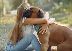Nu trebuie să-ți îmbrățișezi niciodată câinele în aceste situații/ Freepik