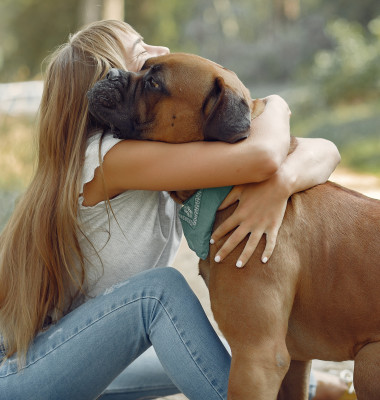 Nu trebuie să-ți îmbrățișezi niciodată câinele în aceste situații/ Freepik