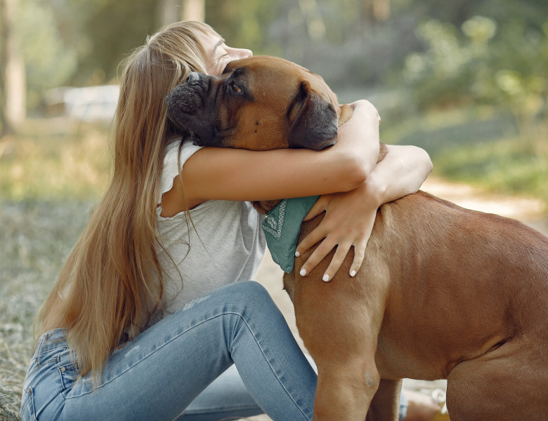 Nu trebuie să-ți îmbrățișezi niciodată câinele în aceste situații/ Freepik