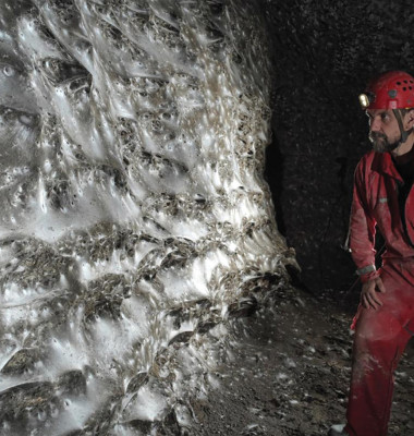Cea mai mare pânză de păianjen din lume/ Profimedia