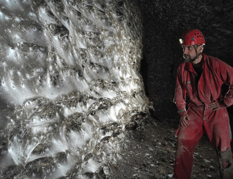 Cea mai mare pânză de păianjen din lume/ Profimedia