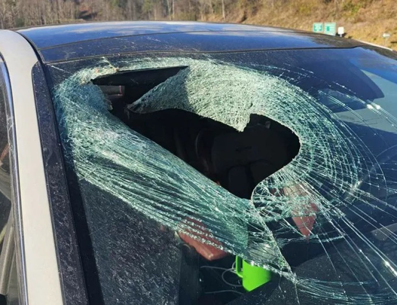 Momentul când un vultur aruncă o pisică în mașina unei șoferițe/ Foto: Captură video