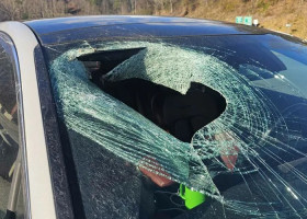 Momentul când un vultur aruncă o pisică în mașina unei șoferițe/ Foto: Captură video