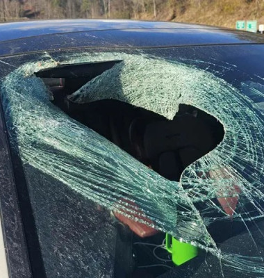 Momentul când un vultur aruncă o pisică în mașina unei șoferițe/ Foto: Captură video