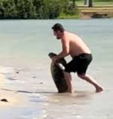 Val de reacții după ce un bărbat s-a fotografiat cu o broască țestoasă/ Foto: Captură video