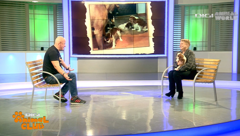 DAC PRIETENIE CAINI 2