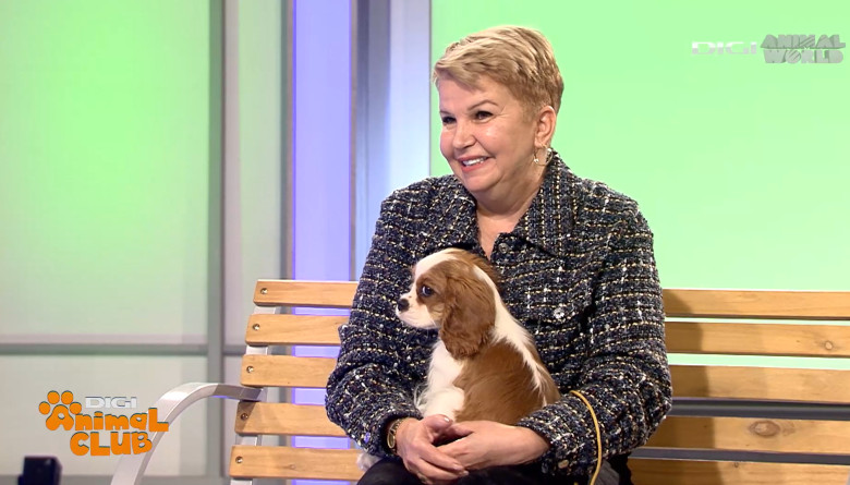 DAC PRIETENIE CAINI 6