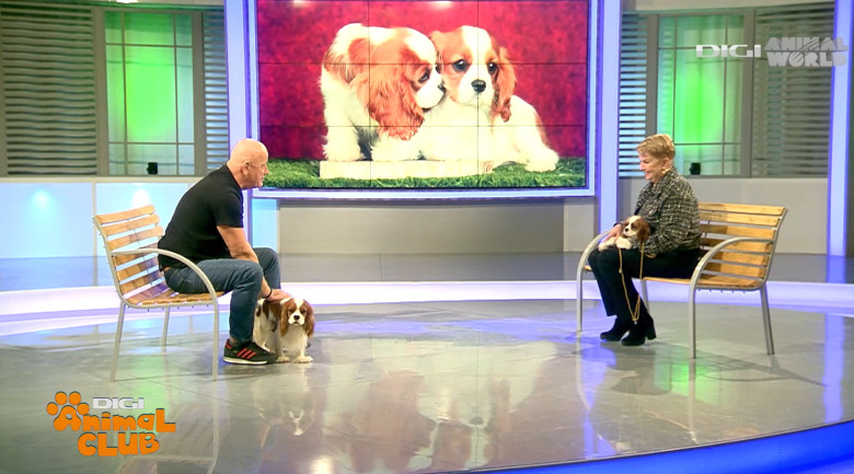 DAC PRIETENIE CAINI 14