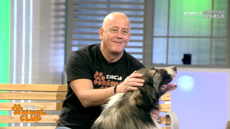 DAC CIOBANESTI ROMANESTI 2