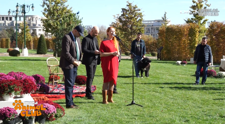 DAC CIOBANESTI ROMANESTI 6