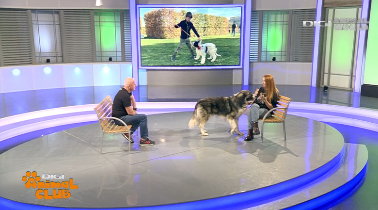 DAC CIOBANESTI ROMANESTI 7