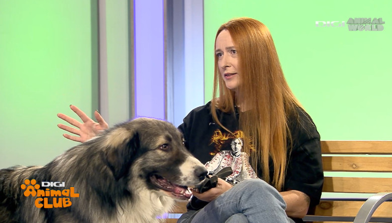 DAC CIOBANESTI ROMANESTI 19