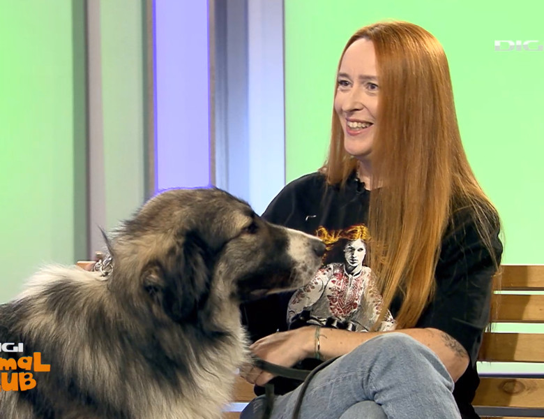 DAC CIOBANESTI ROMANESTI