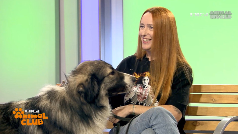 DAC CIOBANESTI ROMANESTI