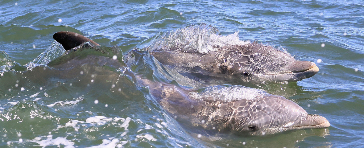 General Views of New Jersey