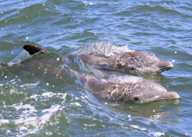 General Views of New Jersey