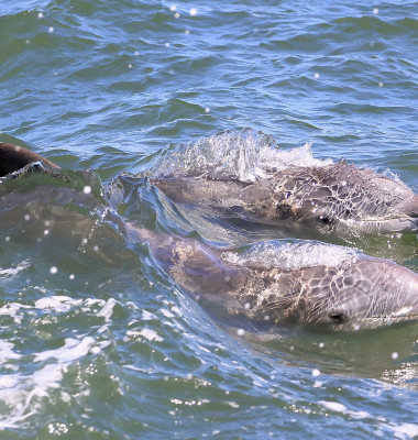 General Views of New Jersey