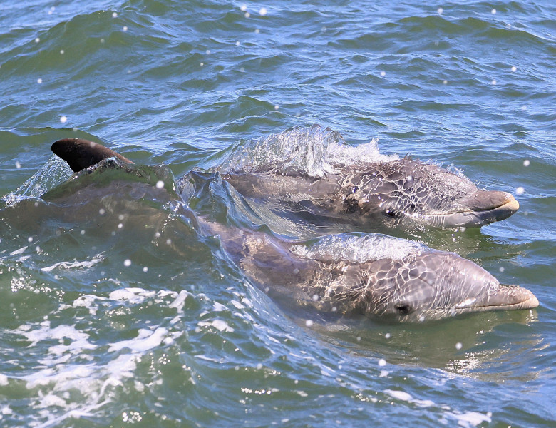 General Views of New Jersey