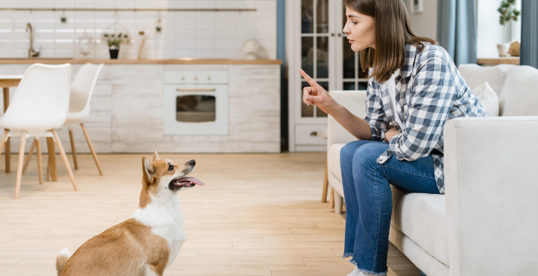 De ce nu ar trebui să spui niciodată „nu” unui cățeluș/ Freepik