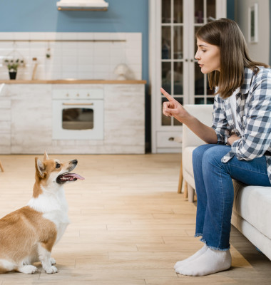 De ce nu ar trebui să spui niciodată „nu” unui cățeluș/ Freepik