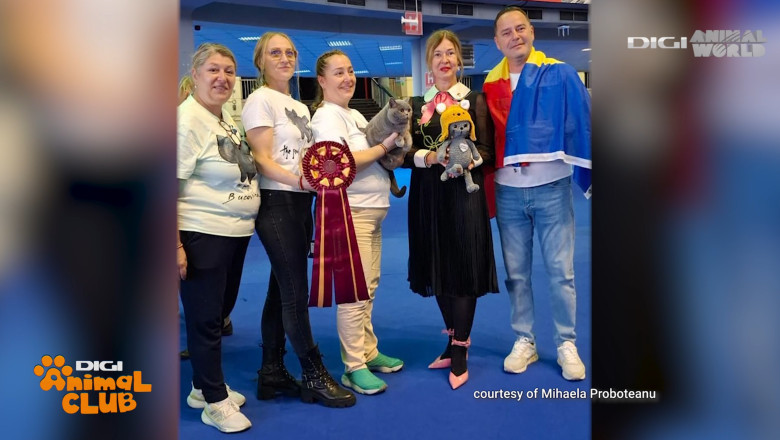 DAC KIRA CAMPIOANA 5