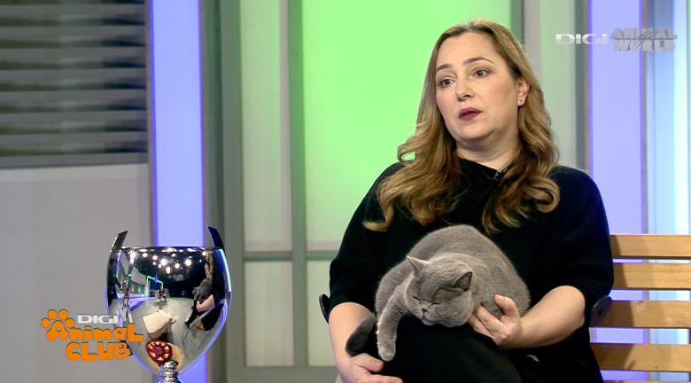 DAC KIRA CAMPIOANA 3